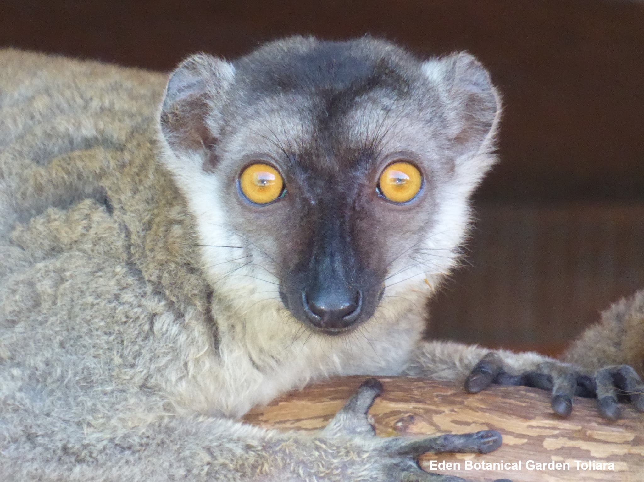 Accueil 470212094 513489641734100 3295964284598512122 n