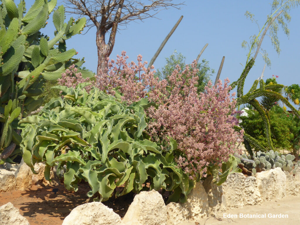 539231426 709410472142015 2288179549143382412 n