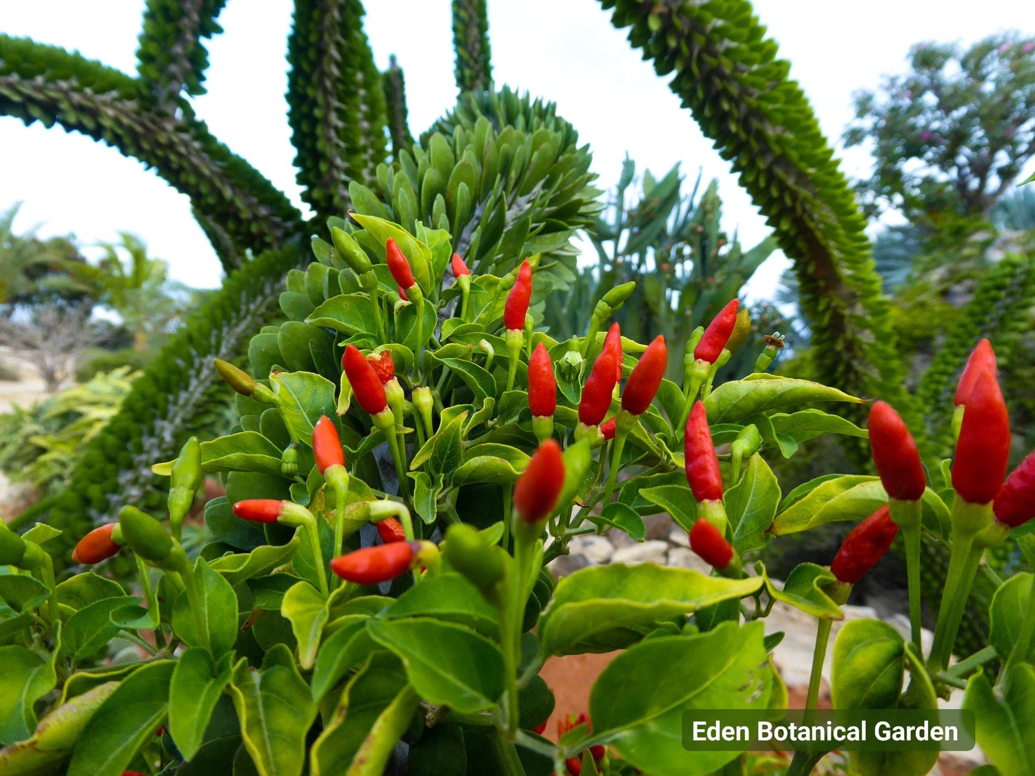 Accueil 605394164 812673081815753 117795992339418520 n