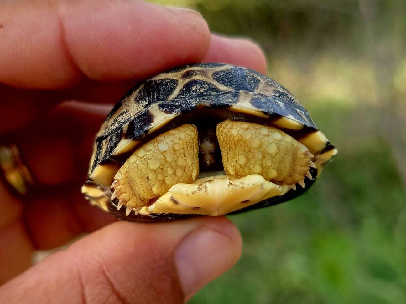 Accueil 613817376 820911197658608 4764275599259292959 n