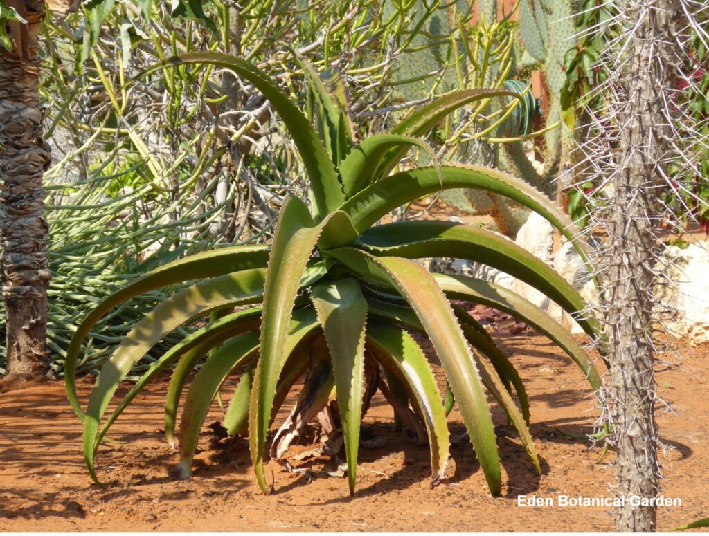 615695222 822889697460758 7550943099655892661 n