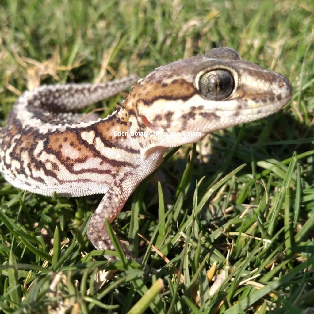 484325866 578125431937187 5558319321666709760 n