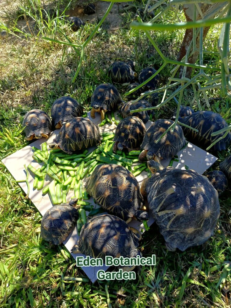 487427941 589660050783725 7928986826466441200 n