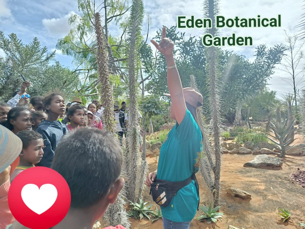 499584155 631335379949525 5128771578586483379 n