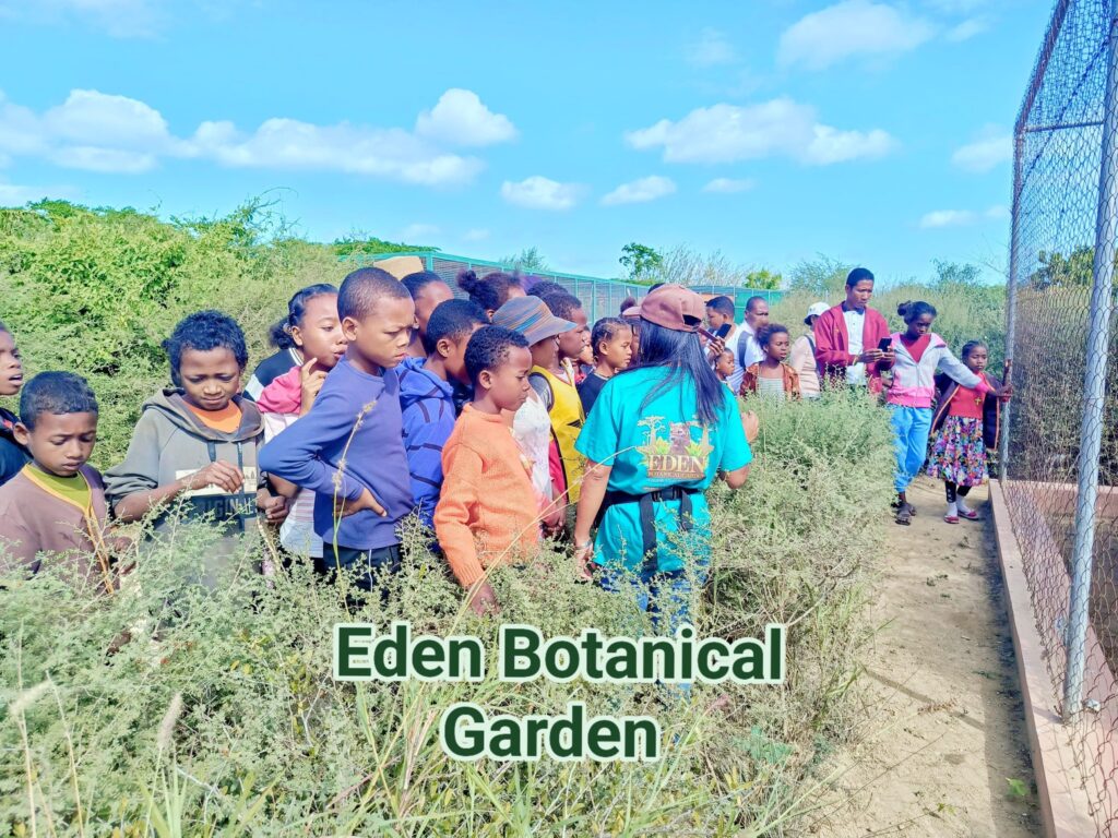 499610922 631335873282809 5617226972153535350 n