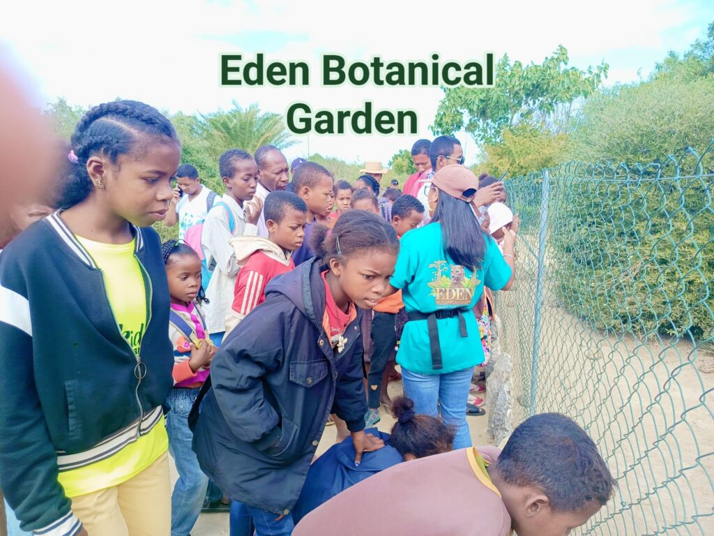 500230979 631335739949489 2516399503030561248 n