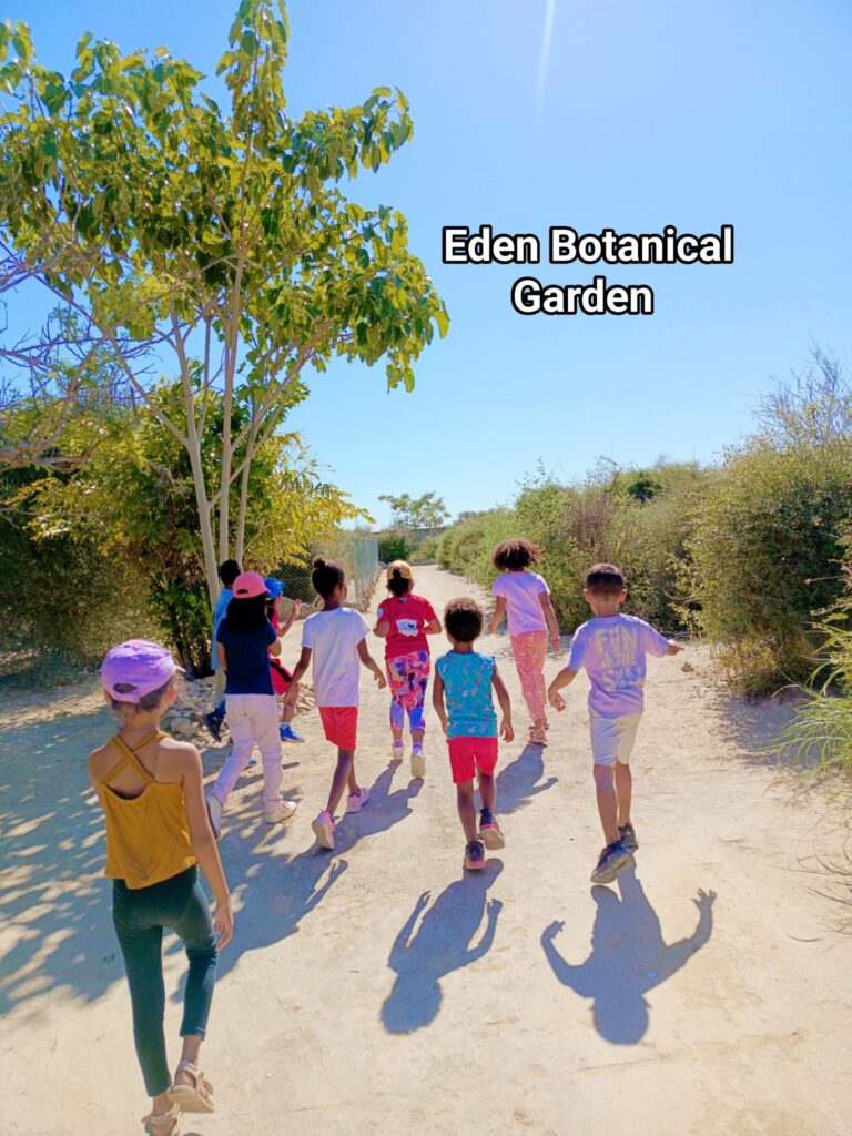 500231554 634211016328628 6057643992705868676 n