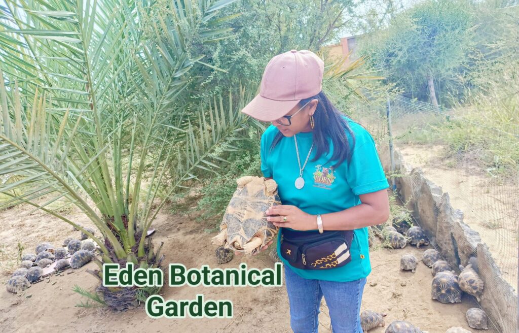 500314258 631335049949558 3622160971215722643 n (1)