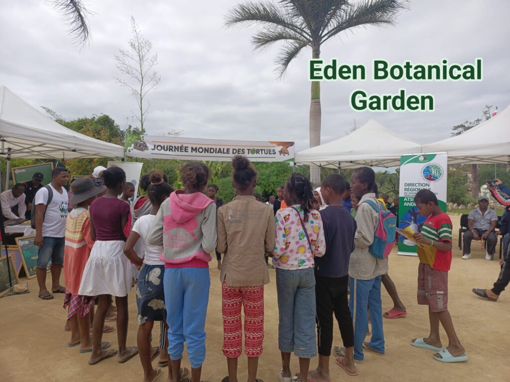 500737168 631335476616182 8965713705731883091 n