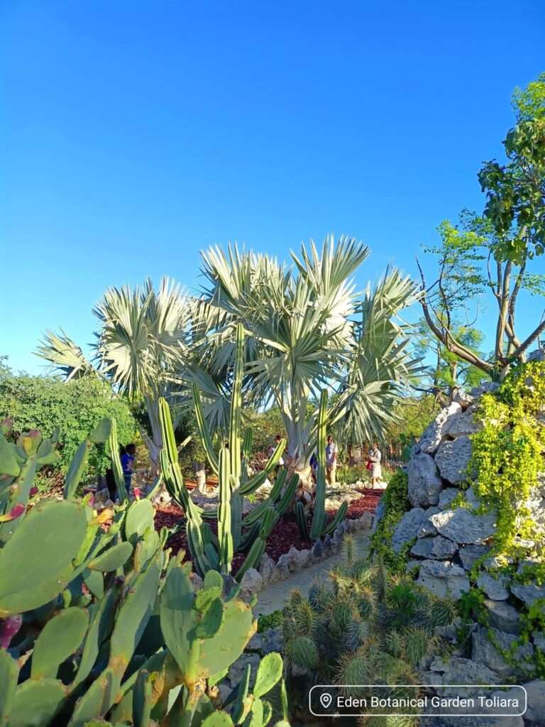 538107588 706272222455840 6988472559297125247 n