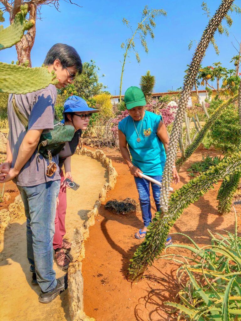 547579562 722330537516675 8785381406366339409 n