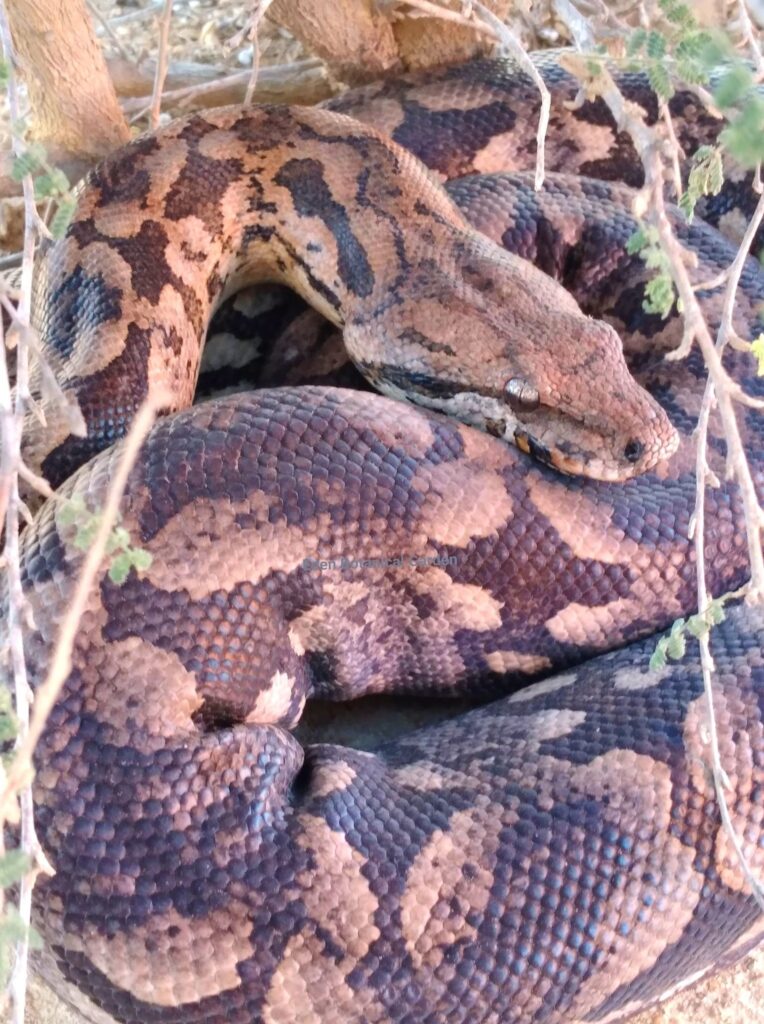 560203743 741768968906165 7346870631221105227 n