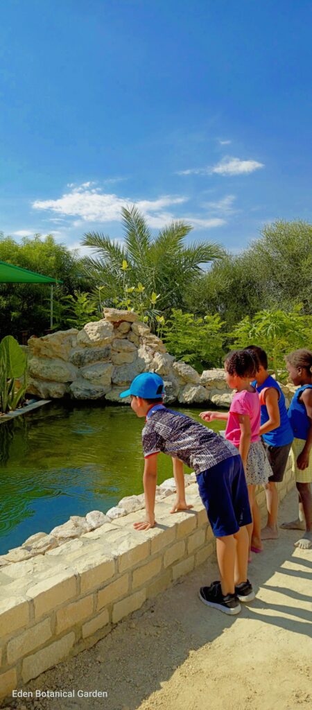 562349687 750555528027509 5902575877171678447 n