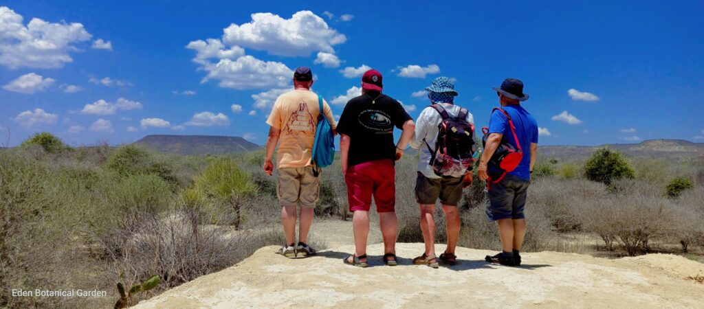 576799014 768682666214795 8664007361963662752 n