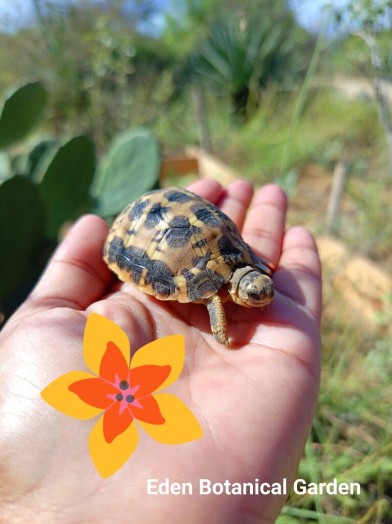 588004047 789047670844961 25955542755731608 n