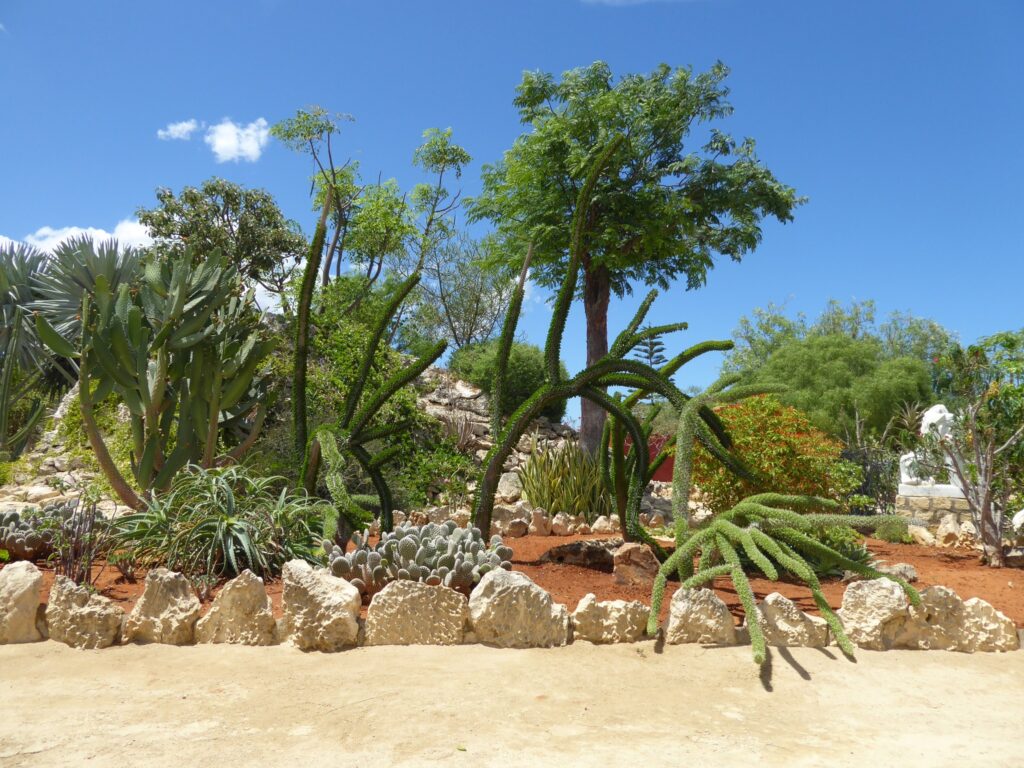 601010378 800772526339142 5785479750970620829 n