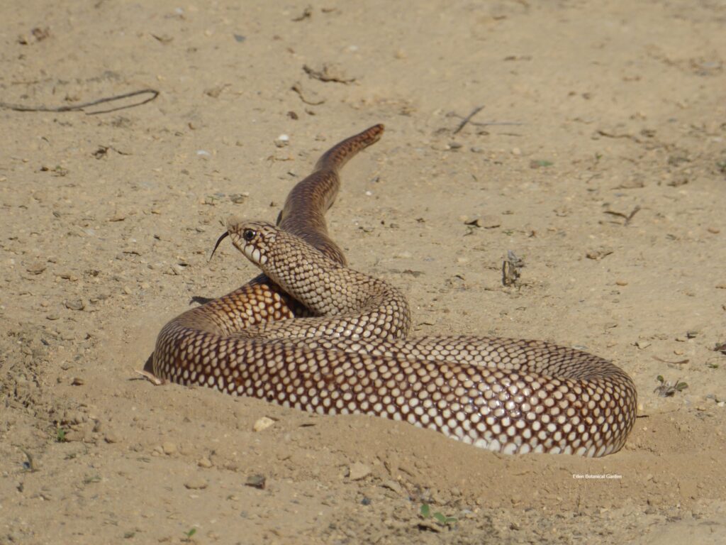 605535390 813020748447653 7042452501777018750 n