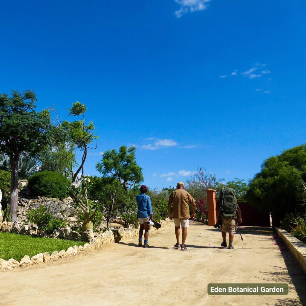 606852465 812621838487544 3460831861942799726 n