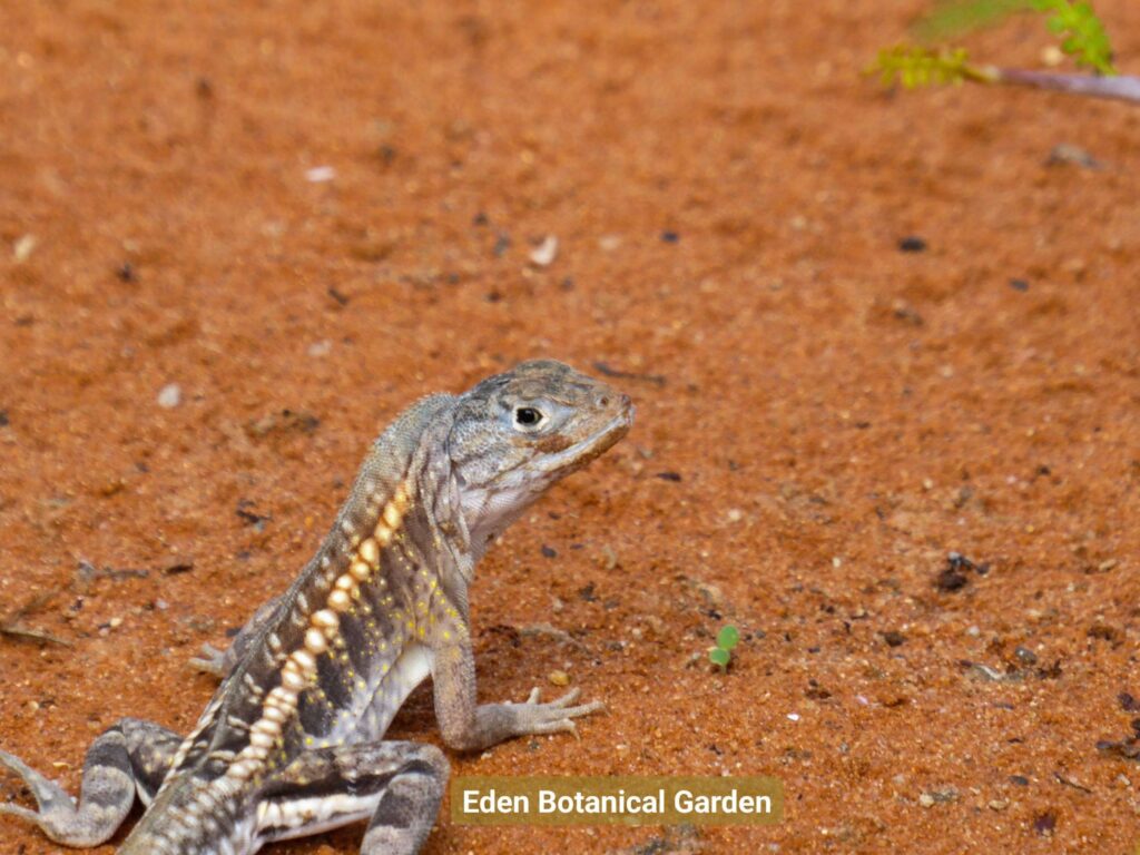 611705680 818498247899903 2800627253738486348 n