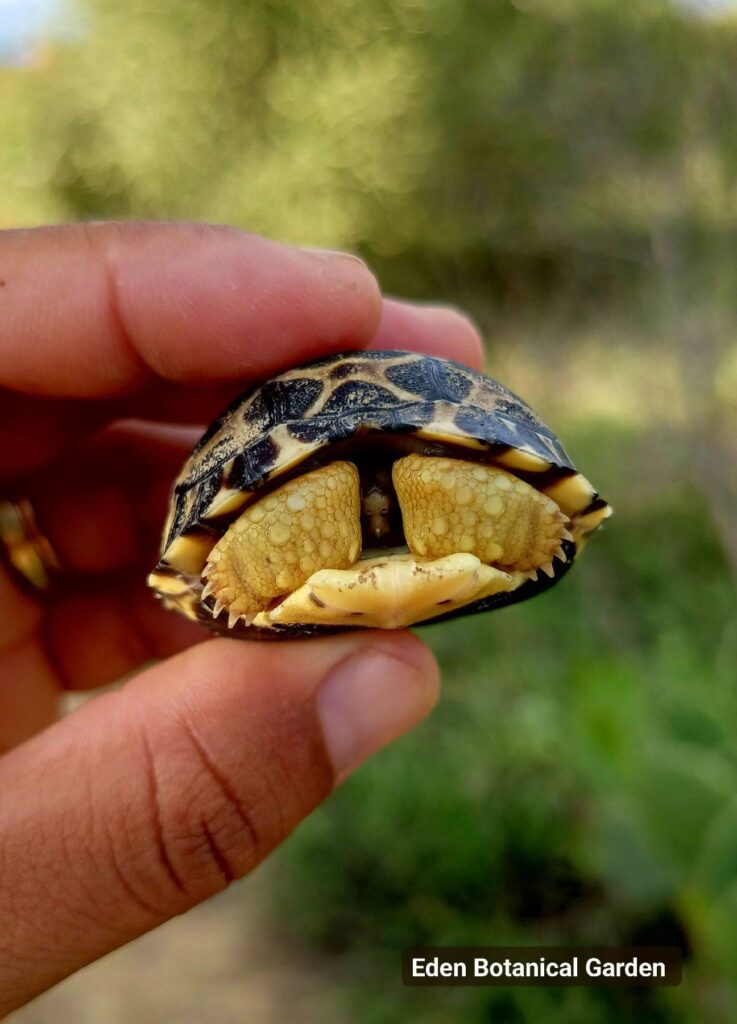 613817376 820911197658608 4764275599259292959 n