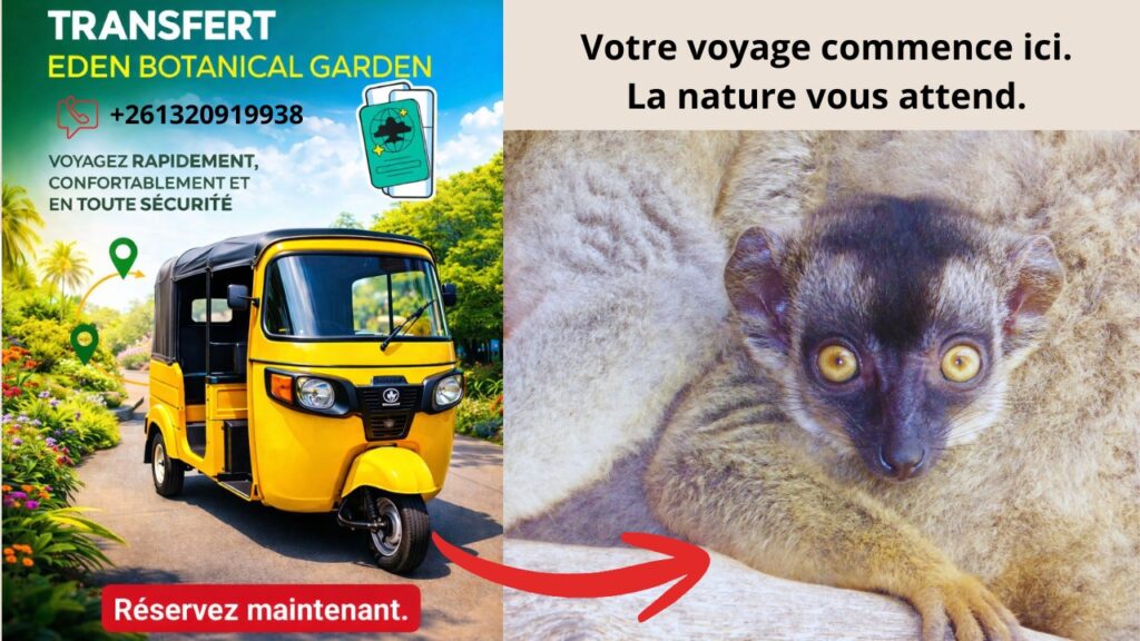 614221350 821791147570613 9163054406227723803 n