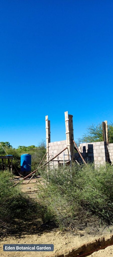 Construction Habitat 615207238 824412660641795 7415345543701560733 n