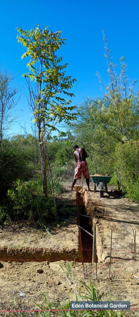 Construction Habitat 615430603 824412540641807 3241519013686519359 n