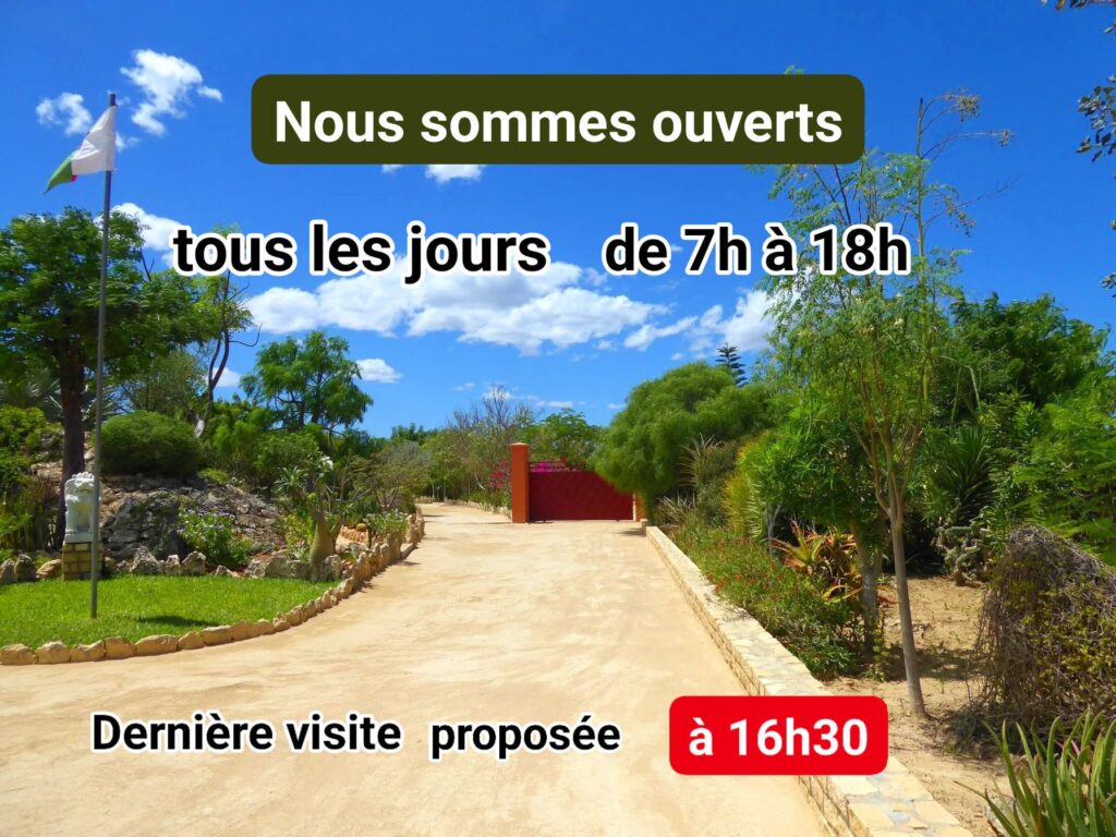 626989579 840623265687401 4068079491208237328 n