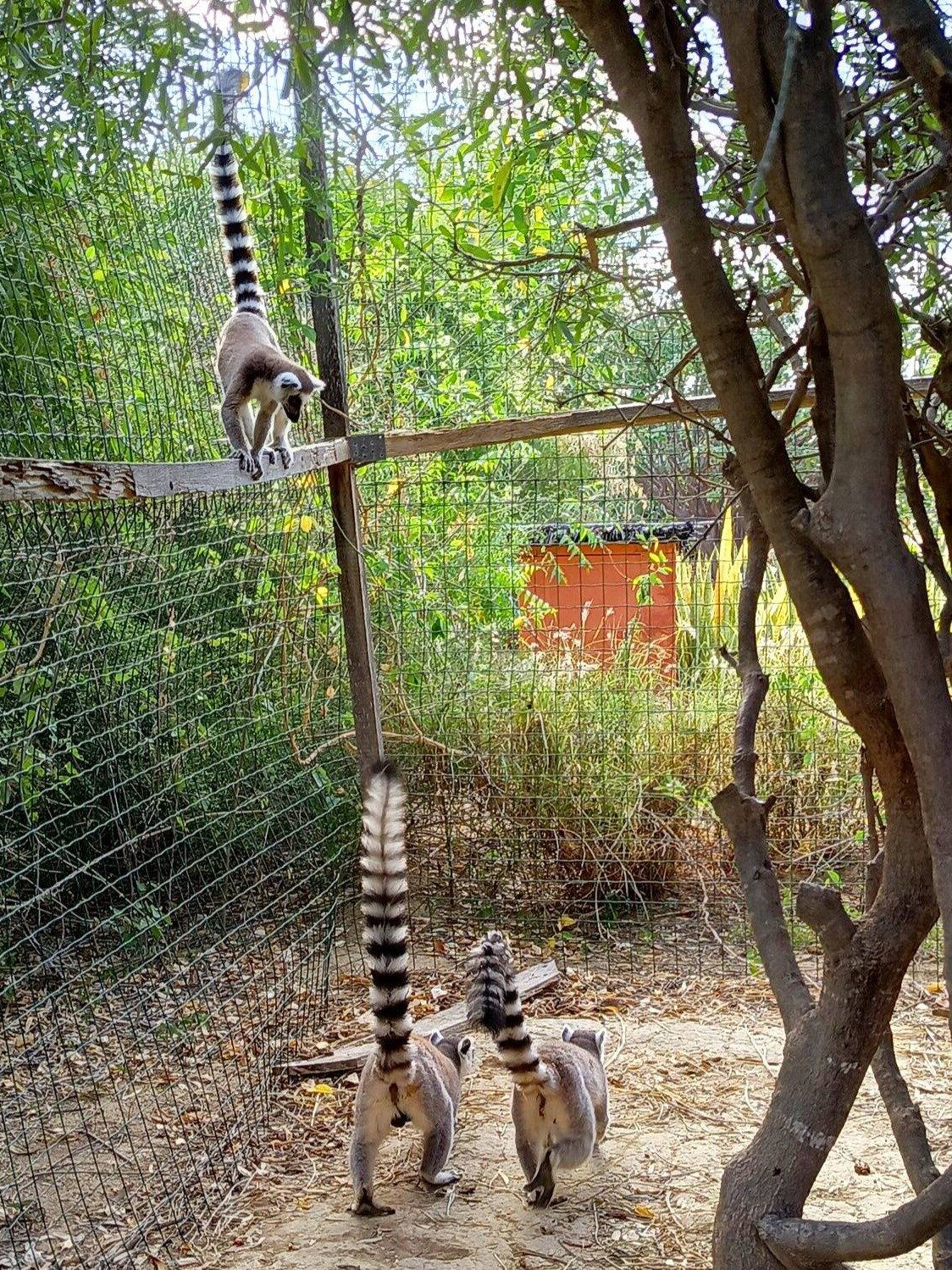 630297803 846825565067171 5902680296700689941 n (1)