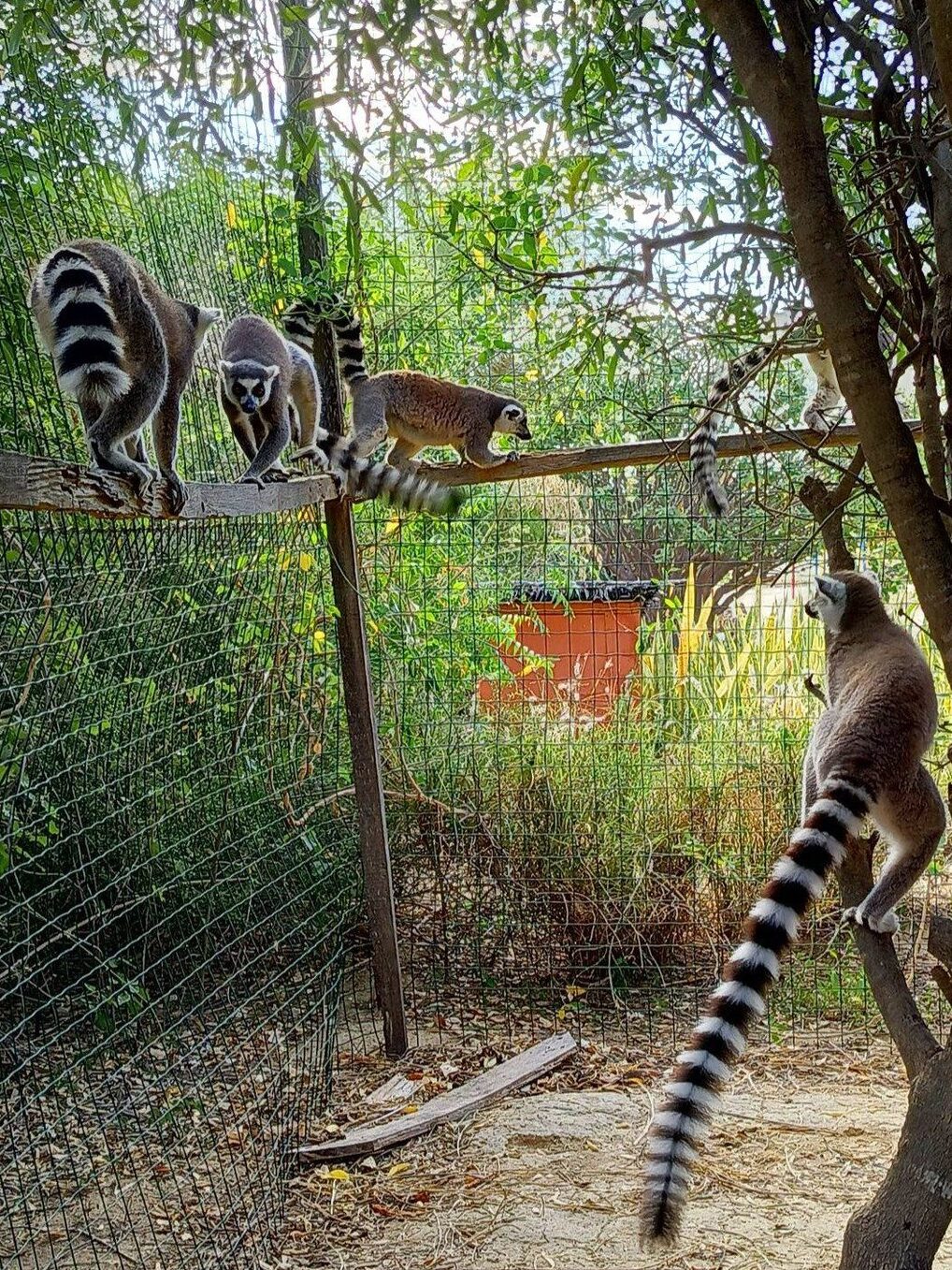 630489863 846825508400510 3604008599764063797 n (1)