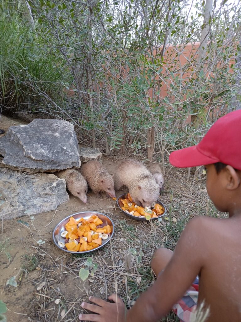 630680140 846553035094424 7272181652521387866 n