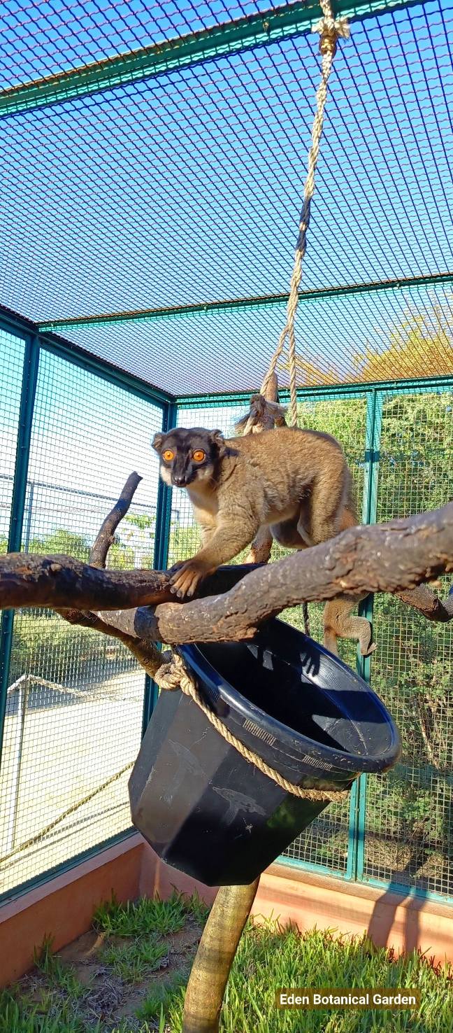 Construction Habitat 631926021 851244994625228 3668478366074304659 n