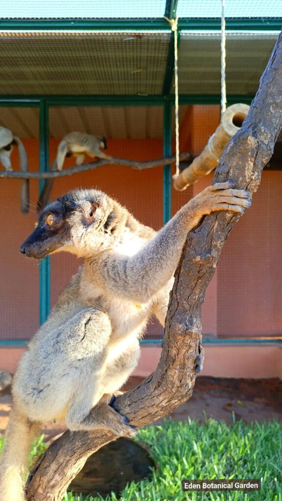 Construction Habitat 633000353 851244911291903 1741651138530559368 n