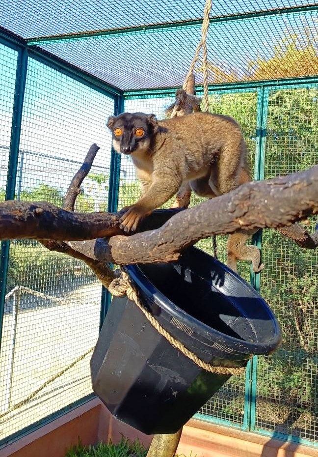 634751163 851268294622898 5669889185939840768 n