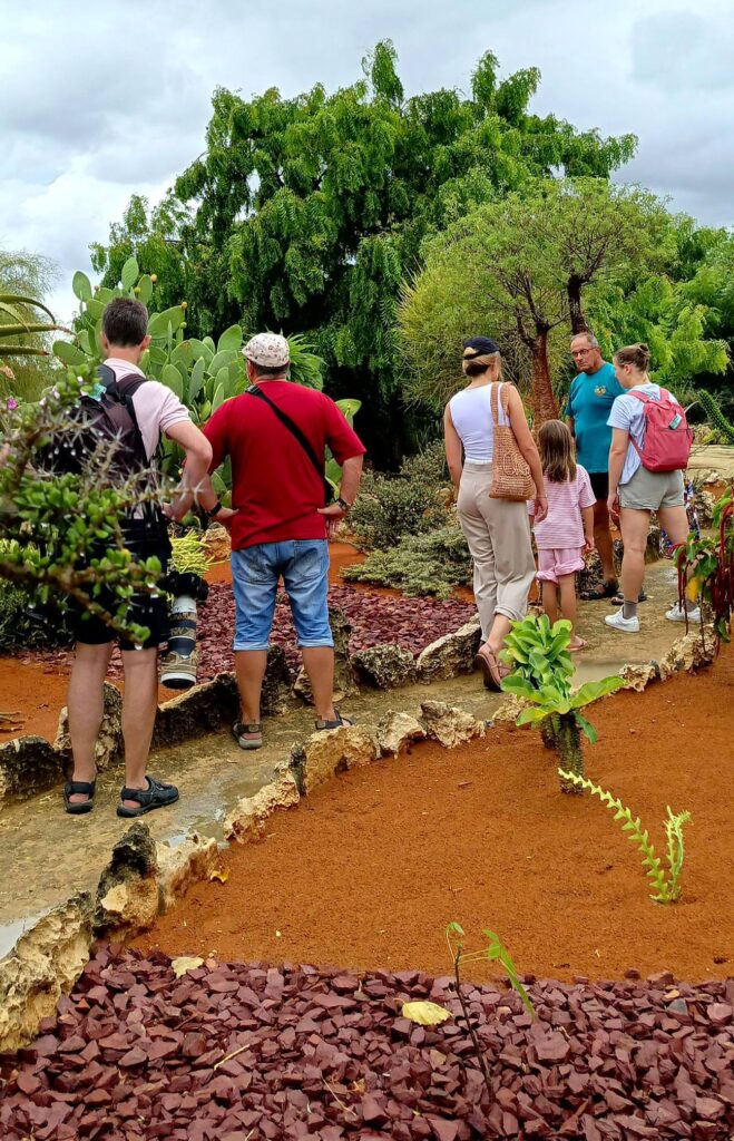 635135751 853675441048850 6659183811862541068 n