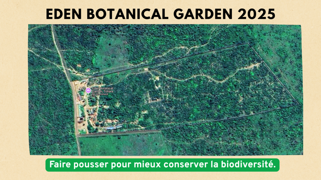 beige marron aesthetic inspiration décoration intérieure présentation (1)