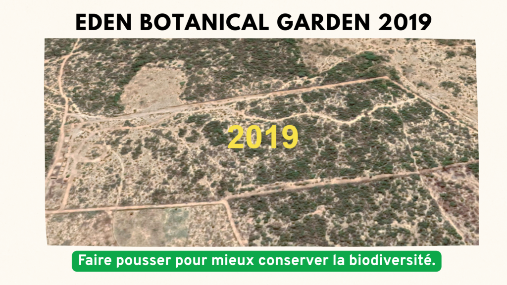 beige marron aesthetic inspiration décoration intérieure présentation (2)