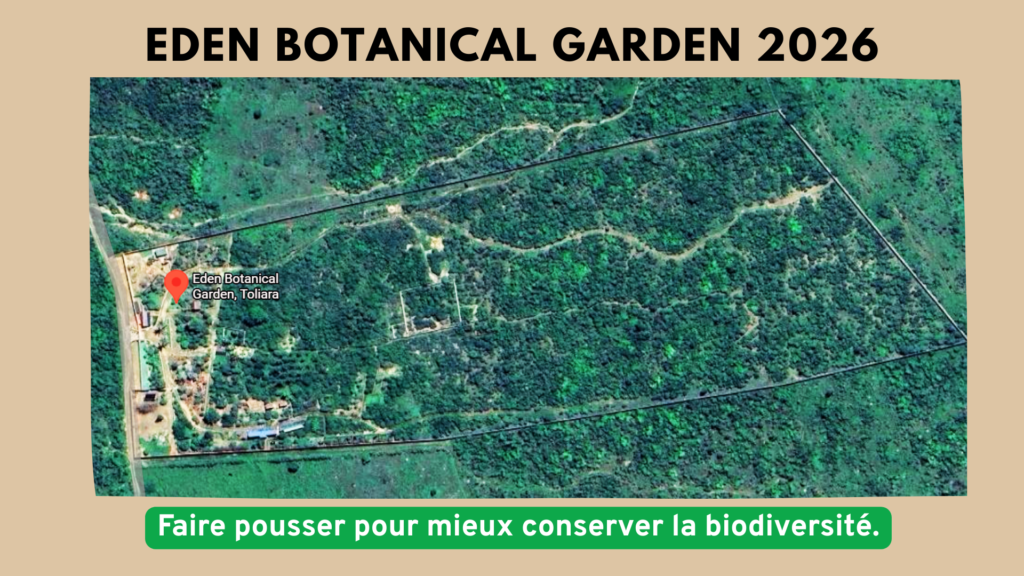 beige marron aesthetic inspiration décoration intérieure présentation (6)