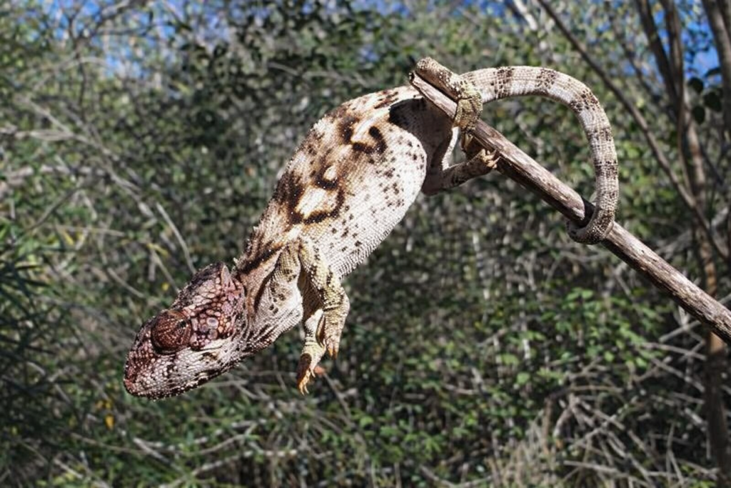 chatgpt image 12 févr. 2026, 10 45 58