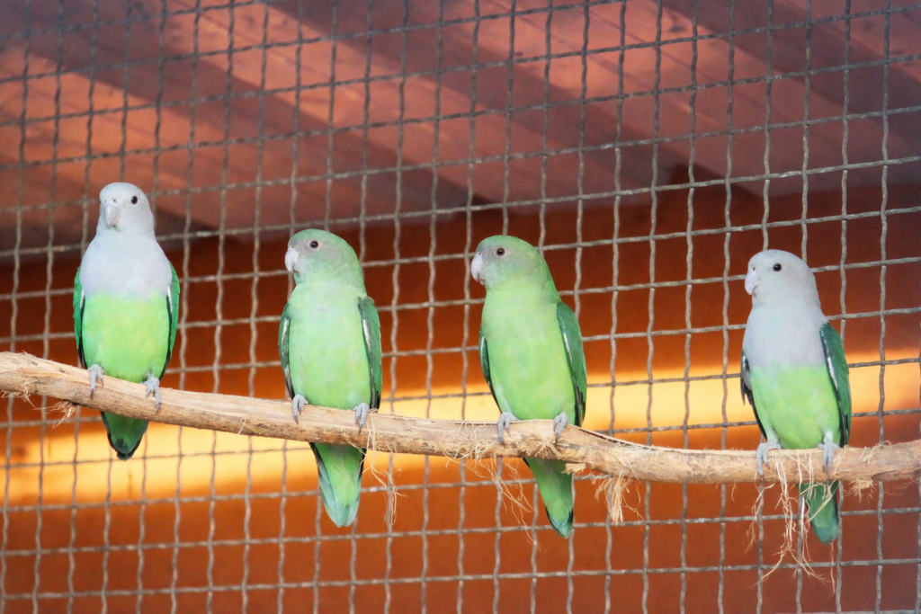 chatgpt image 25 janv. 2026, 23 13 44