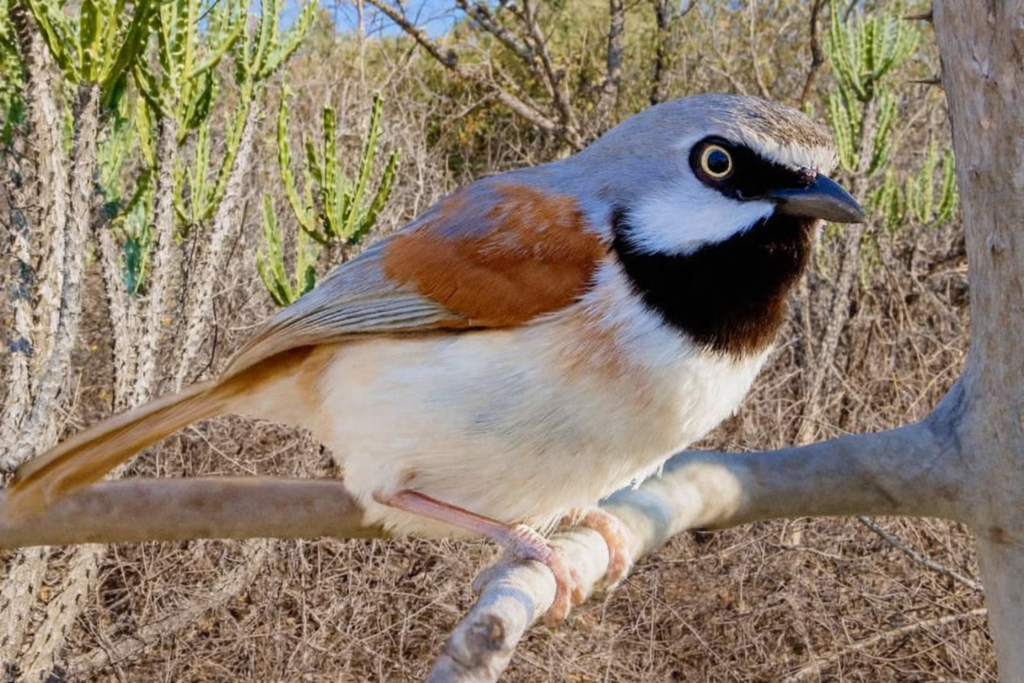 chatgpt image 26 janv. 2026, 00 21 28