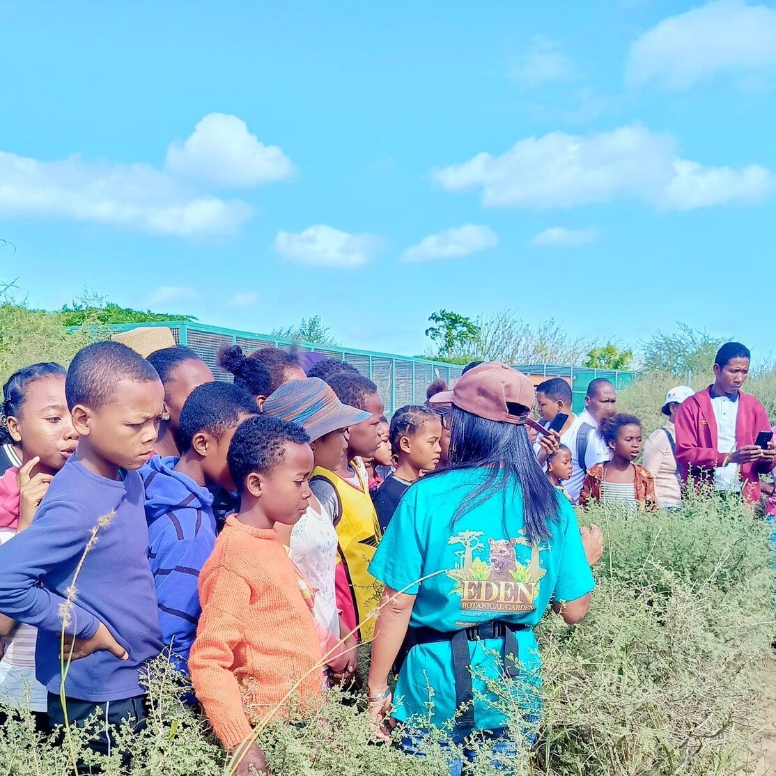 499610922 631335873282809 5617226972153535350 n