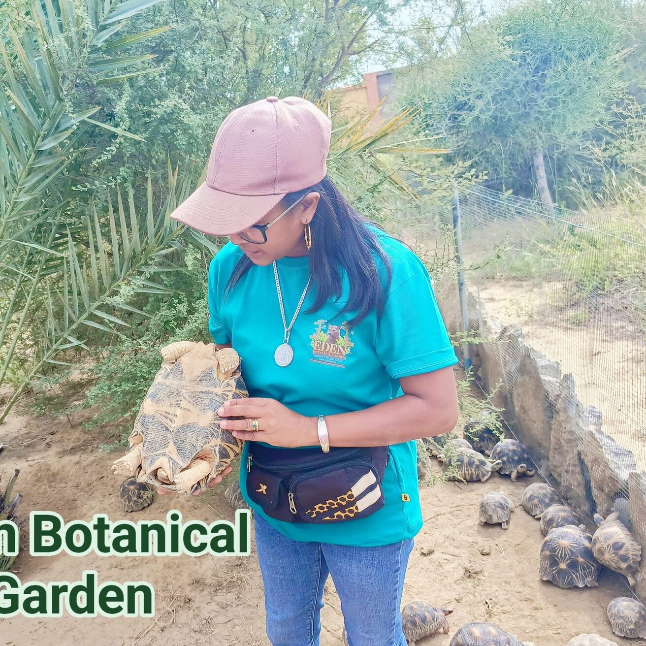 500314258 631335049949558 3622160971215722643 n