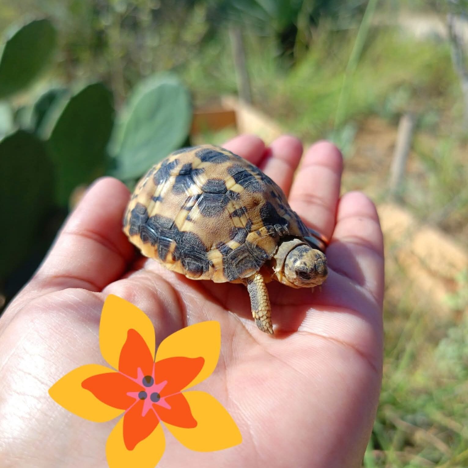 588004047 789047670844961 25955542755731608 n