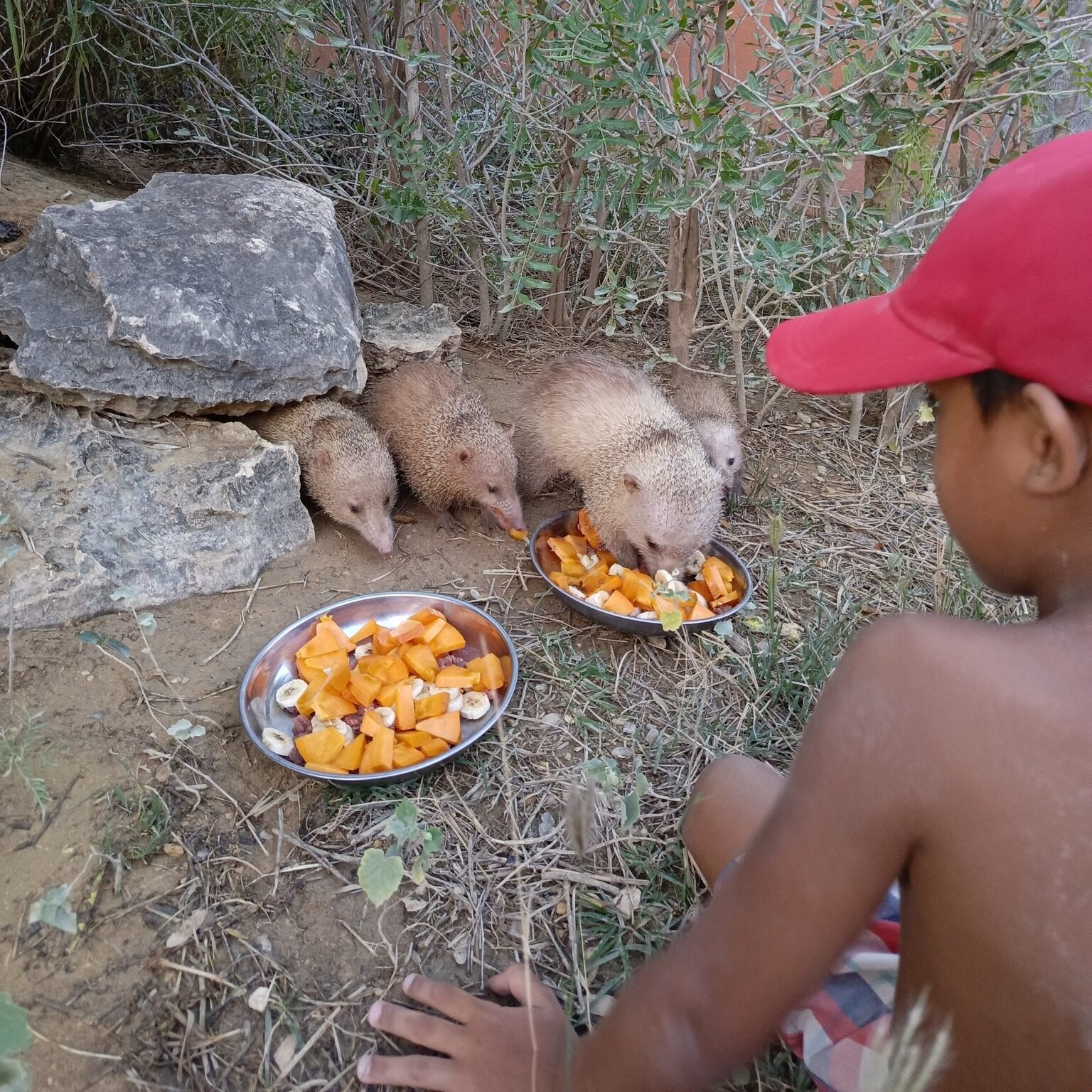 630680140 846553035094424 7272181652521387866 n