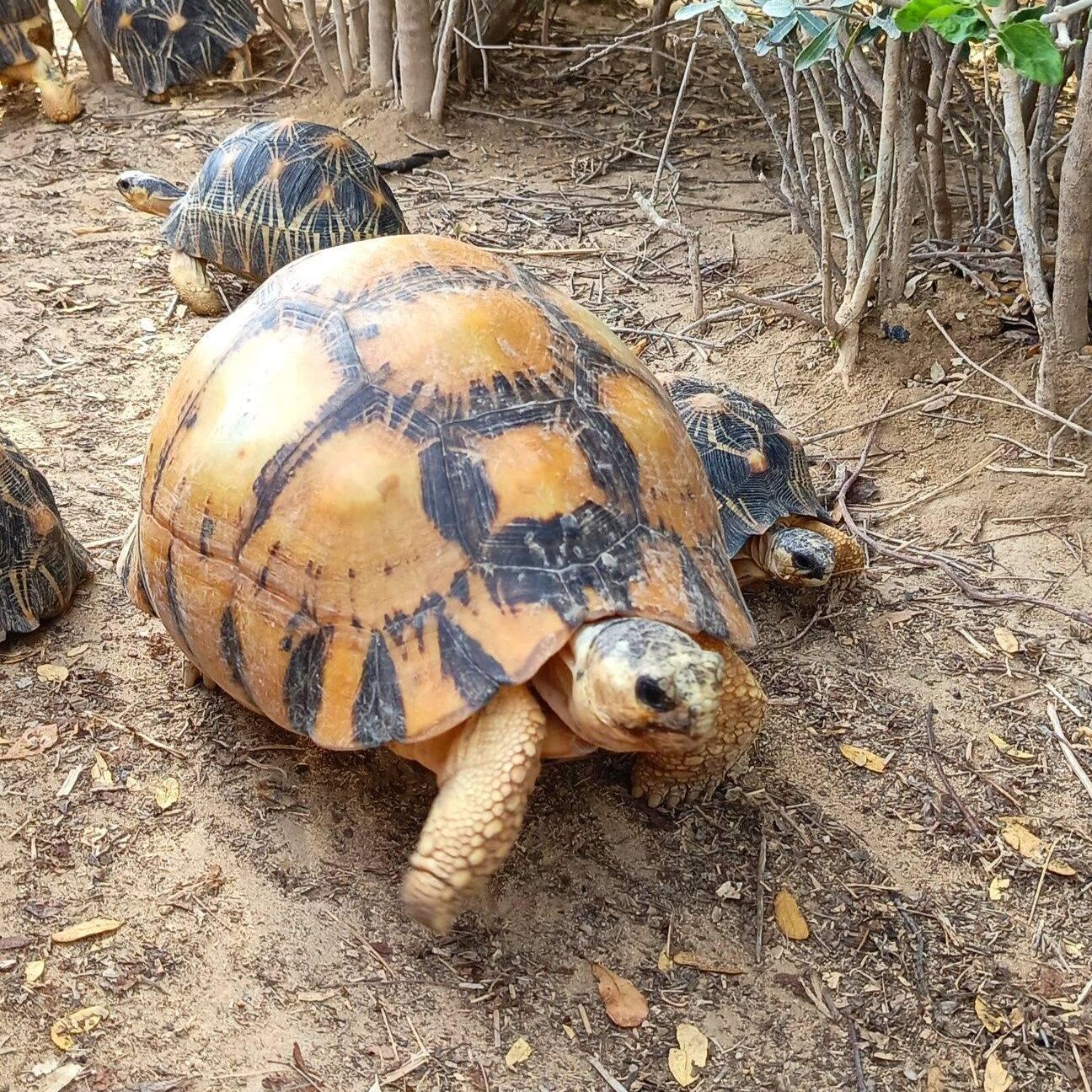 639698461 857462944003433 8500917100684660329 n