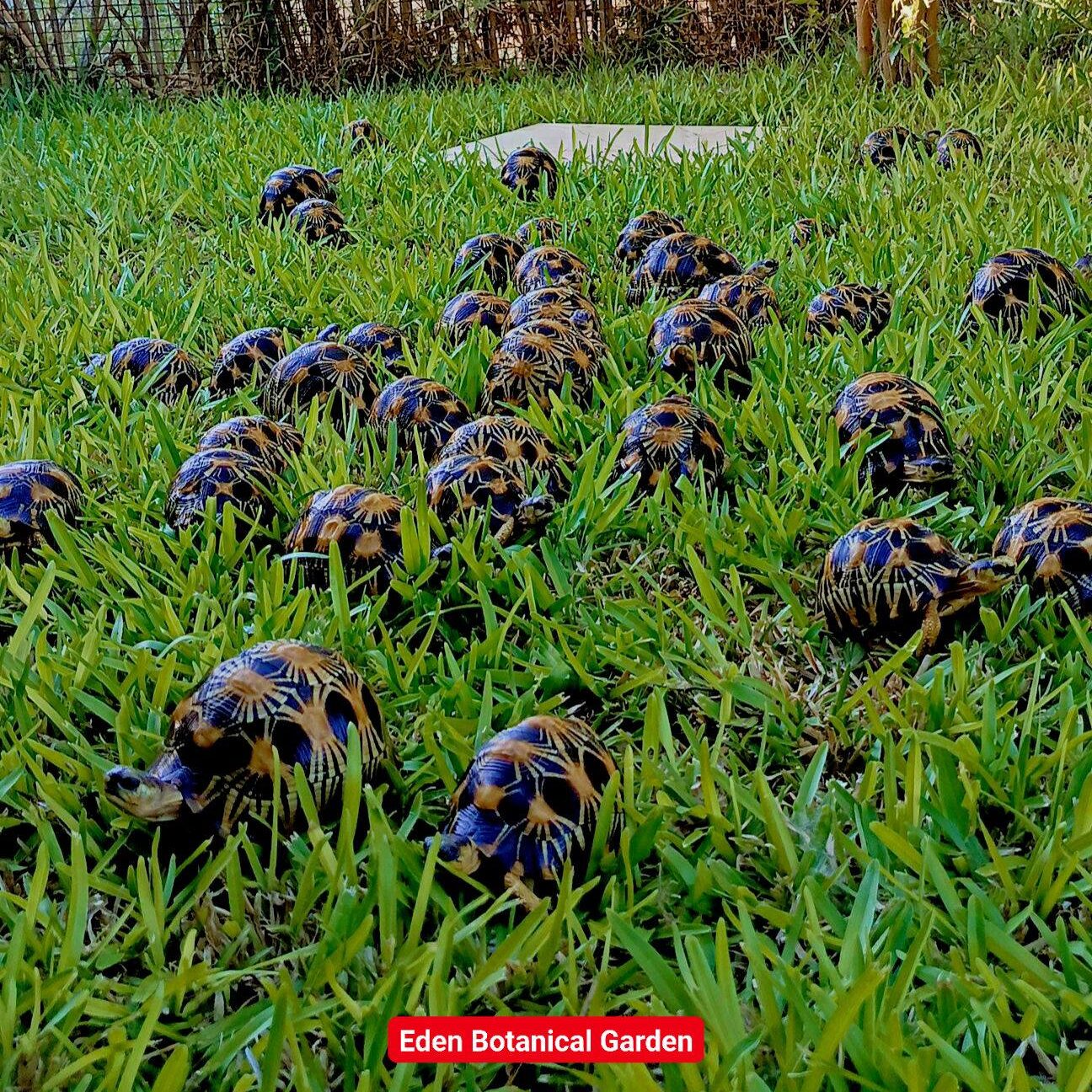 646197142 868485516234509 122570231649607132 n (1)