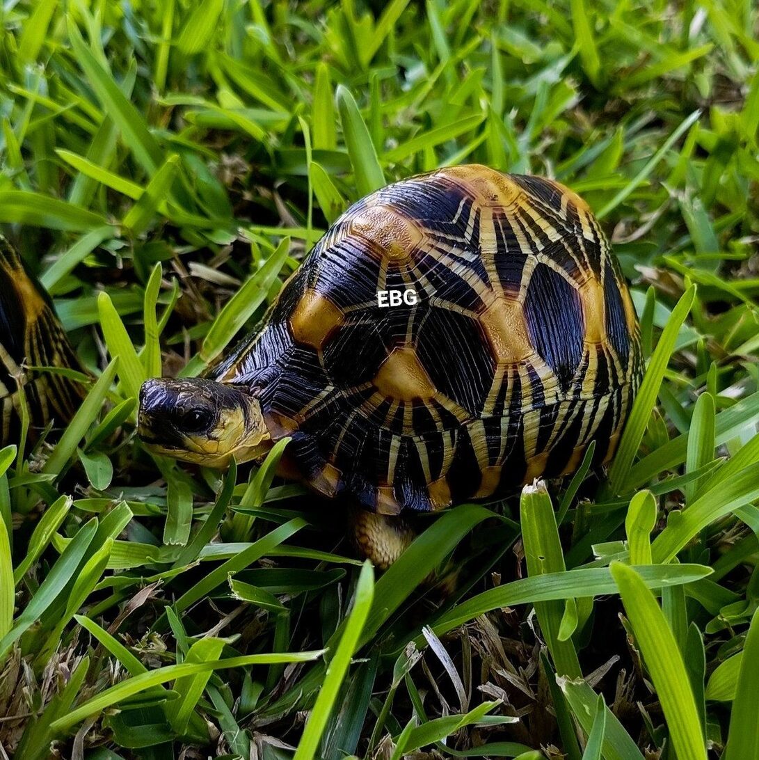 647389692 868485459567848 4266528263056157197 n