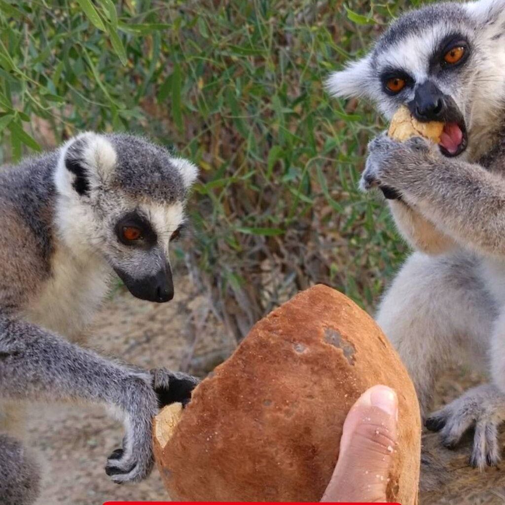 648973063 870368842712843 6177475908254848087 n