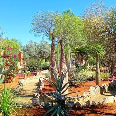 648981659 870977339318660 2494267940195820894 n